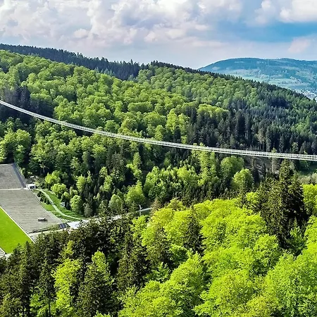 Edelweiss 'musenberg' Deluxe - Mit Hotelanbindung, Saunalandschaft Und Meinecardplus Apartmán Willingen (Upland)