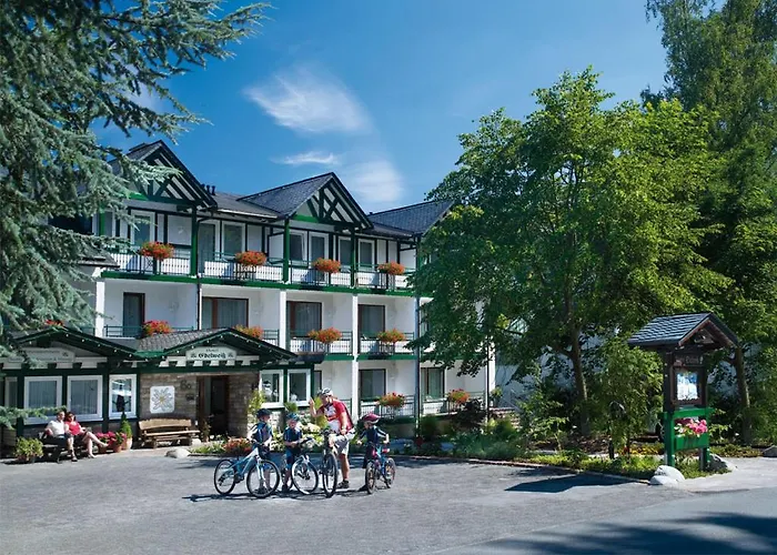 Apartment Edelweiss Appartements 'Musenberg' Deluxe - Mit Hotelanbindung, Saunalandschaft Und Meinecardplus Willingen (Upland)