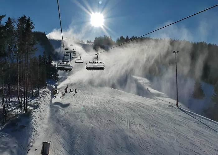 Edelweiss Appartements 'Musenberg' Deluxe - Mit Hotelanbindung, Saunalandschaft Und Meinecardplus